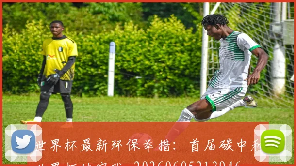 世界杯最新环保举措：首届碳中和世界杯的实践_20260605213946