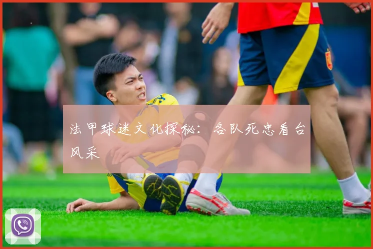 法甲球迷文化探秘：各队死忠看台风采