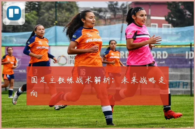 国足主教练战术解析：未来战略走向