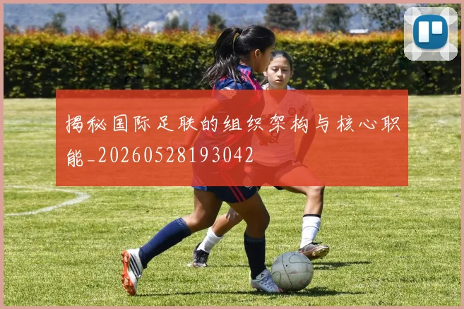 揭秘国际足联的组织架构与核心职能_20260528193042
