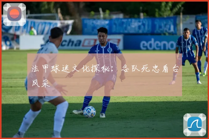法甲球迷文化探秘：各队死忠看台风采