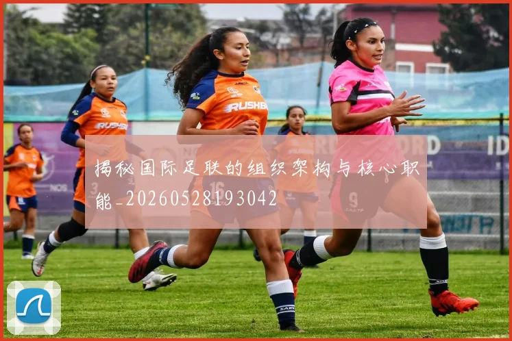 揭秘国际足联的组织架构与核心职能_20260528193042